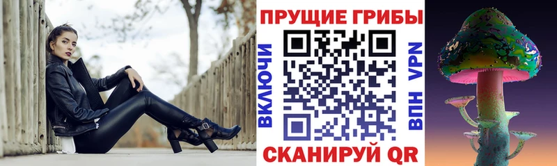 цена   ОМГ ОМГ как войти  Галлюциногенные грибы MAGIC MUSHROOMS  Высоковск 